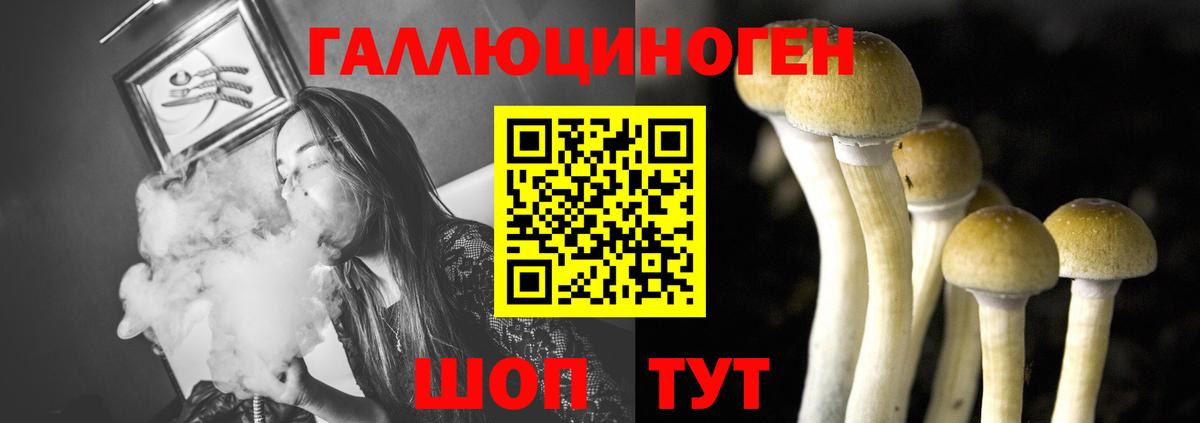 Апатиты  Галлюциногенные грибы прущие грибы  Вход с VPN 